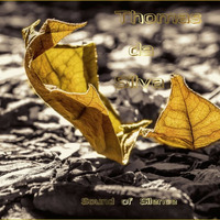 Tageserwachen.MP3 by Thomas da Silva