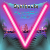 Danger Lights in Miami by SYNTHESIA