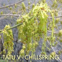 Tatu V - Chillspring by Tatu V