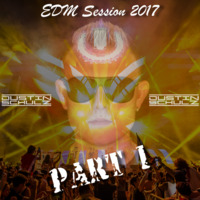 EDM Session 2017 Part 1 by Dustin Schulz