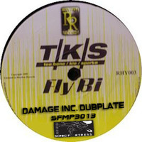 Damage Inc.,Sparks & Kie,Fly Bi 2014 by Damage Inc.