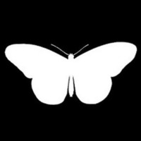 Butterfly Effect (Chaos D B2B Big C) Live @ Kandi Krush 2-17-17 by Big C