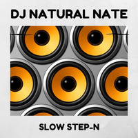 Slow Step - N-DJ Natural Nate- PTP- TLA- Bruise Your Body Breaks- D - Kuttz (jb) by DJ Natural Nate