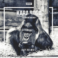 HAY HO Mix #1 (funky fresh trap&bass trash) by KARA BOGA