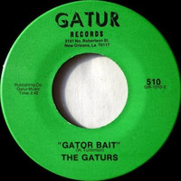Gator Bait (SPGroove Extended) refined by popskee