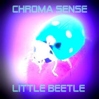 little beetle by Chroma Sense