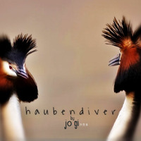 Haubendiver by Jogi  29.05.16 TechHouse/HouseMix by Mirco Jogi Elsner