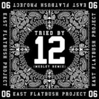 Dj Seeq - East Flatbush Projects Tried By 12 (Remix) by dj seeq