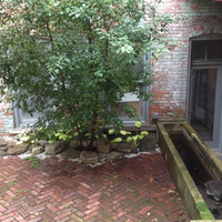 SW010 New York Upstate Condo Backyard Afternoon After Rain by shapingwaves