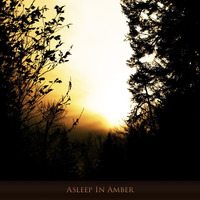 Asleep In Amber by Hilyard