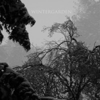 Wintergarden by Hilyard