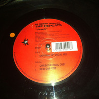 95North presents THE HEPCATS Jazziz ( Crash Saxsoul Dub by Dino &amp; Terry ) FREETOWN REC by FROM THE ROOTS OF HOUSE MUSIC