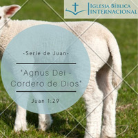 01 Serie de Juan. 03 Agnus Dei El Cordero De Dios. Juan 1:29 by IBIN VIÑA DEL MAR, CHILE