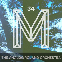 M34: The Analog Roland Orchestra by Monologues