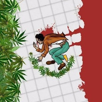 “Principal causa de violencia y corrupción en México es el mercado negro de drogas”: Santiago Roel by Fáctico