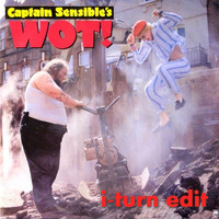 Captain Sensible - Wot (i-turn edit) by Timothy Wildschut