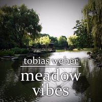 Meadow Vibes (Original Mix) by Tobias Weber