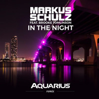 Markus Schulz Feat. Brooke Tomlinson - In The Night (Aquarius Remix) 128kbit by Aquarius