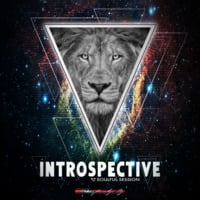INTROSPECTIVE - soulful session by funkji Dj