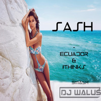 Sash - Ecuador &amp; THINKS (DJ WALUŚ SMASH) by DJ WALUŚ