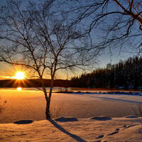 Four Seasons *winter by Maximum Music Maxx