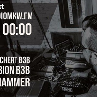 2017-02-23 - Steffen Hammer B3B Dennis Babion B3B Christian Reichert Live at Connect-Radio by Toxic Family