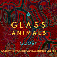 Glass Animals - Gooey (DJ Jeremy Healy VS. Spencer Gray &amp; Ananda Project Deep Mix) by DJ JeremyHealy