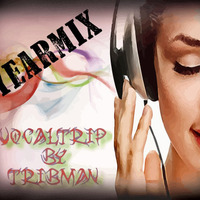 VocaLTrip 29 [YearMix] by TribMan