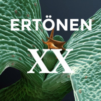 XX - Layer by ERTÖNEN