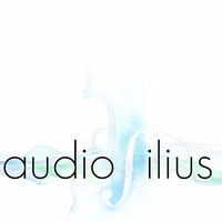 Audiofilius - First Live Set, recorded at &quot;Hippi&amp;Anne´s 60. Birthday&quot;. by Klangkueche