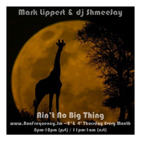 Mark Lippert &amp; dj ShmeeJay - Ain't No Big Thing - 2017-04-13 by dj ShmeeJay