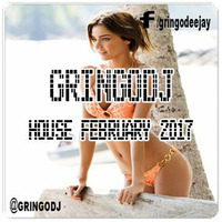GRINGODJ - HOUSE FEBRUARY 2017 by Christian Saavedra Gringodj