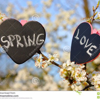 Es wird Frühling, die Liebe erwacht by RambergRecords