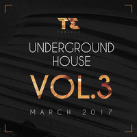 T.E PROJECT UNDERGROUND HOUSE Vol.3 (March 2017) by T.E Project