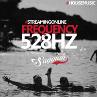 Frequency 528Hz by Saggian