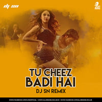 Tu Cheez Badi Hai - DJ SN Remix by AIDC