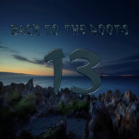 Back To The Roots Vol.13 by Ricky.F