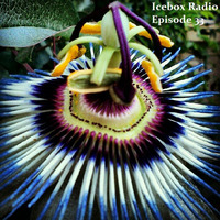 The Icebox Radio Podcast Episode 33 by Altered Phoenix