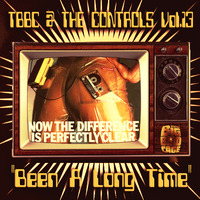 TBBC @ THE CONTROLS - VOL.13 ''Been A Long Time.. (Straight Up House)'' (The Big Bird Cage In The Mix) by The Big Bird Cage