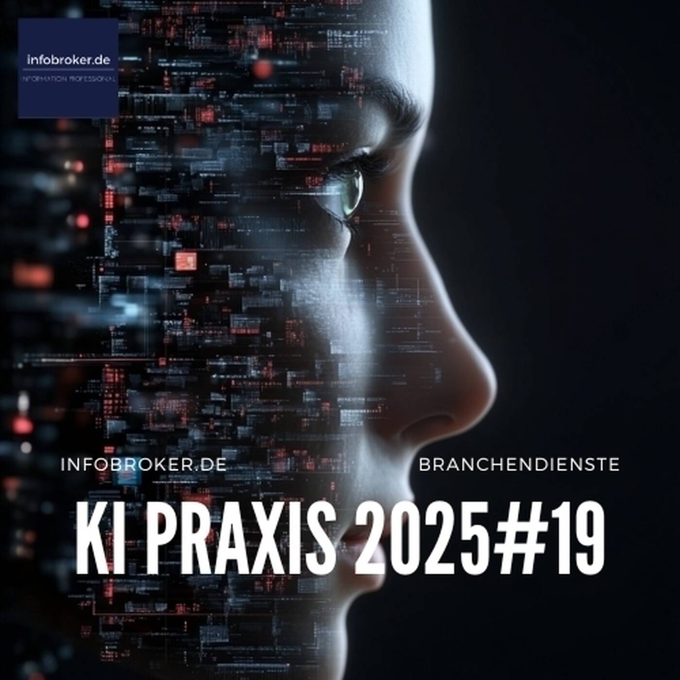 KI Praxis  – 2025#19 – Künstliche Intelligenz in Branchen und Märkten episode artwork
