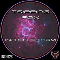 Trippin Fox - Volfast (original Mix) Preview by Trippin Fox
