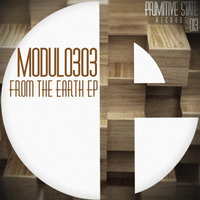 PSR013 : Modulo303 - From The Earth (Original Mix) by Primitive State Records