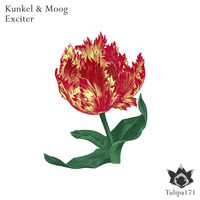 Kunkel &amp; Moog: Exciter / Snippet by Patrick Kunkel (Cocoon Recordings, Suara, Form, Leena, Kling Klong)