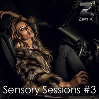 Sensory Sessions #3 by Zen K