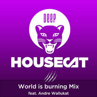 Deep House Cat Show - World is burning Mix - feat. Andre Wallukat by Deep House Cat Show