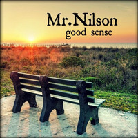Mr.Nilson - good sense by Mr.Nilson