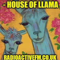 2017.06.20.20.000.Mr. P Presents - House Of Llama by Steve