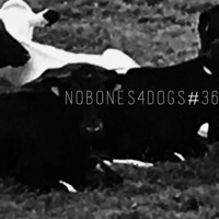 nObOnes4dOgs radiO shOw #36 by GurWan