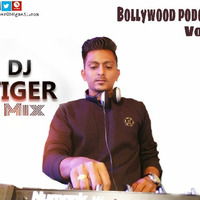 Bollywood Non Stop Vol.1 - Dj Tiger Remix 2017 by Dj Tiger