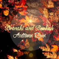 Autumn Rain by davidbronski
